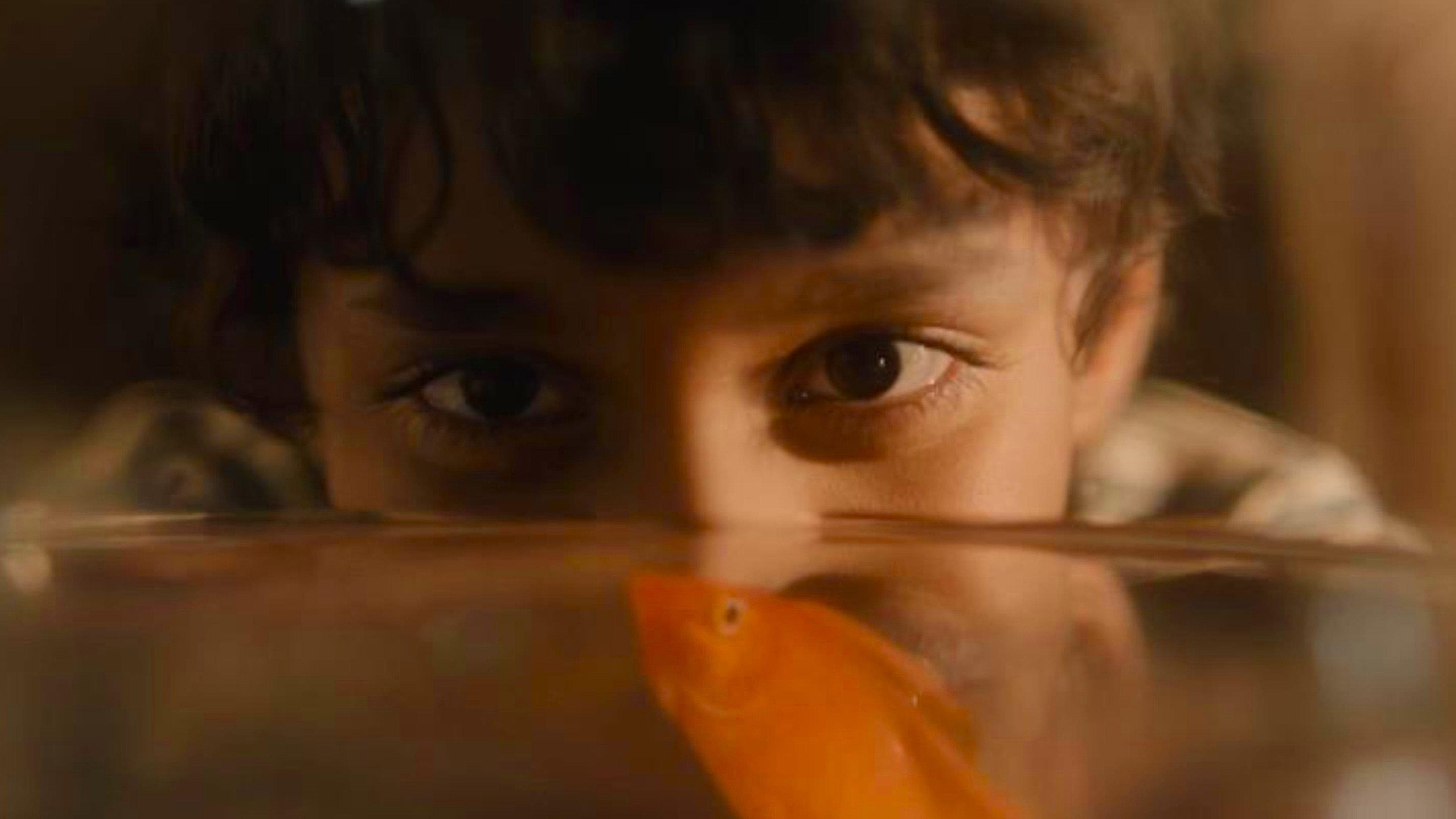 Blind Spot 2024 movie scene