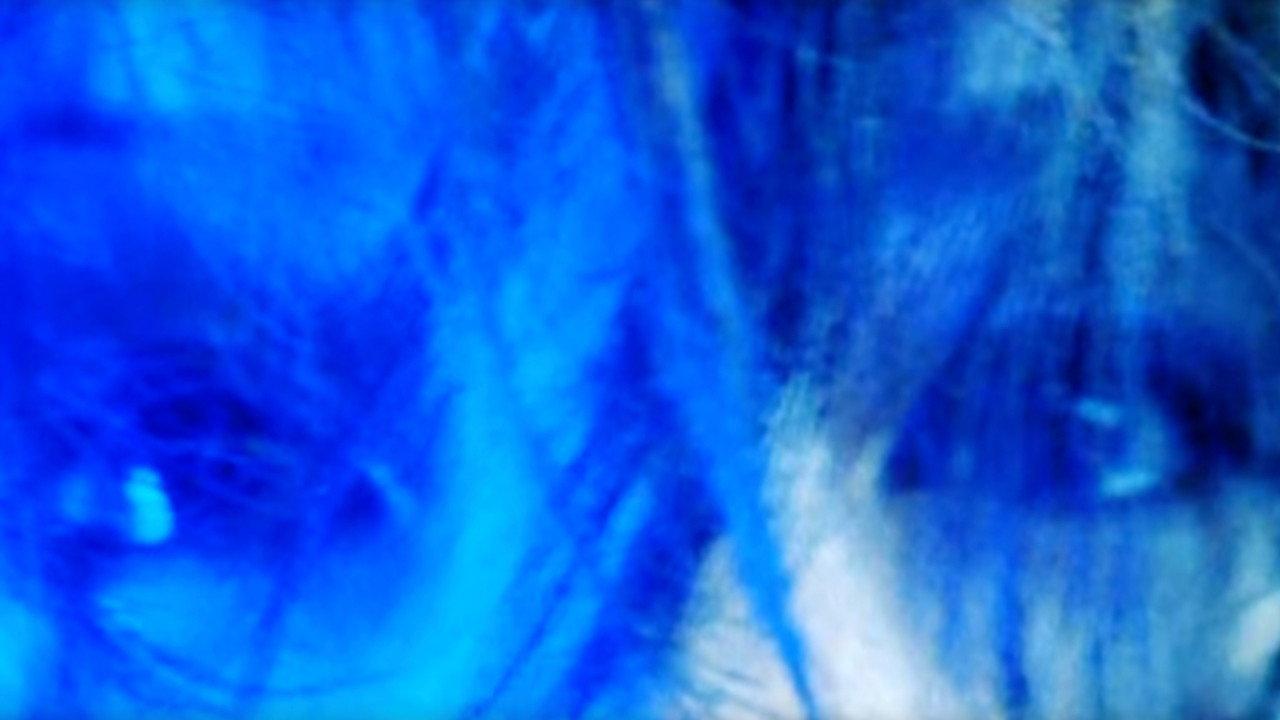 The Thirsty Flower: Four by Four Equals One 2004 movie scene
