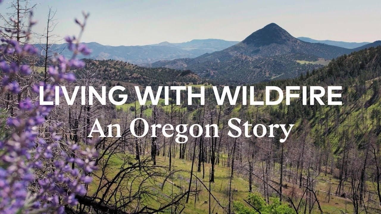 Living with Wildfire 2018 movie scene