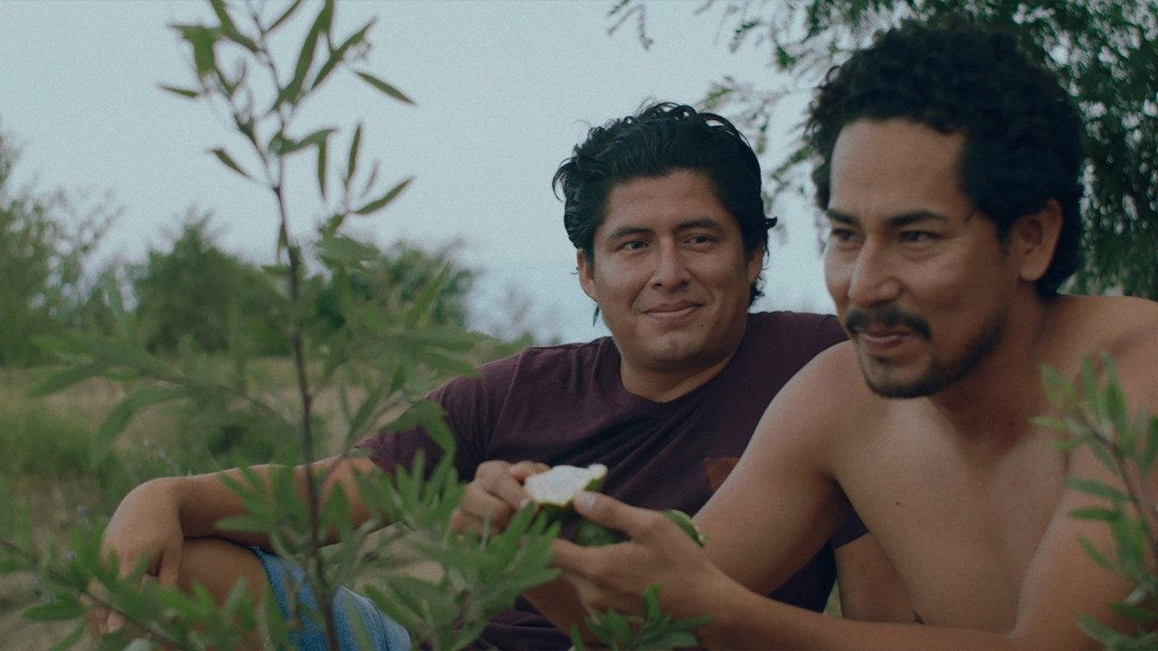 Czechoslovakia 2022 movie scene
