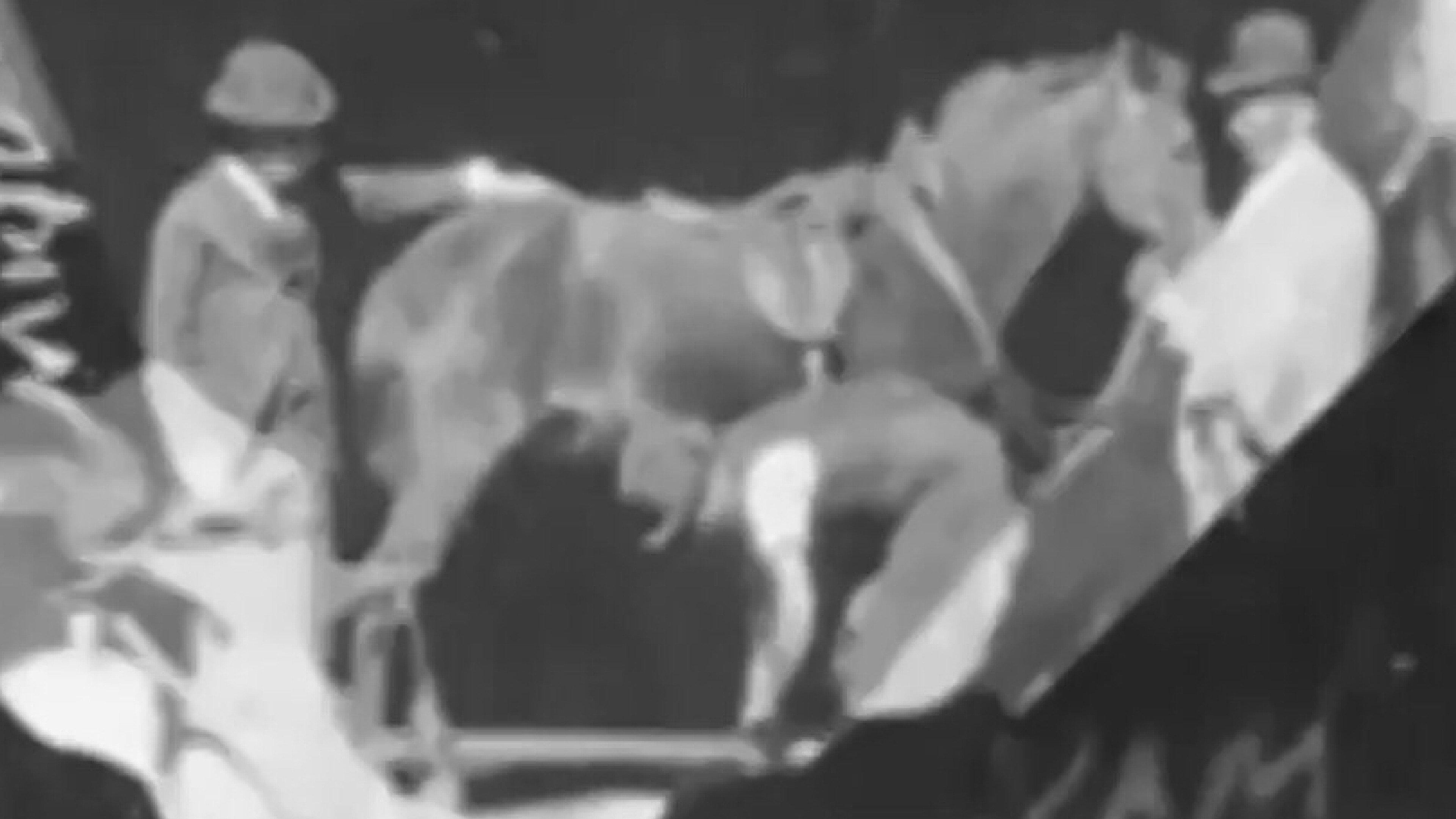 Horse Shoeing 1893 movie scene