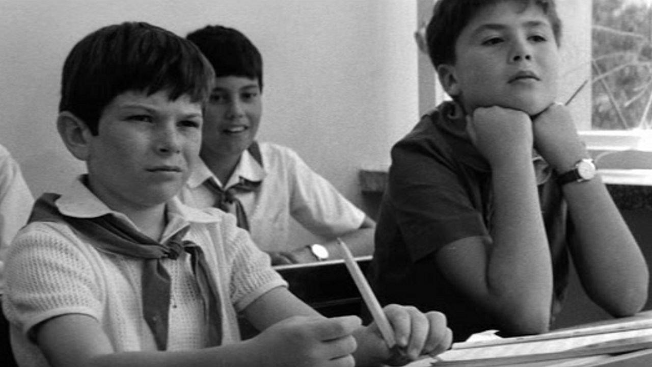 Little Hedghogs Have No Quills 1971 movie scene