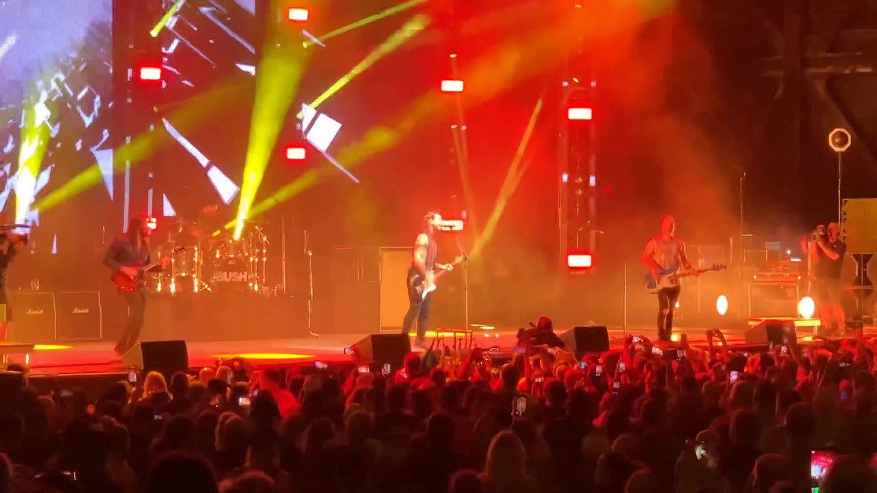 Bush - Live in Tampa 2020 movie scene