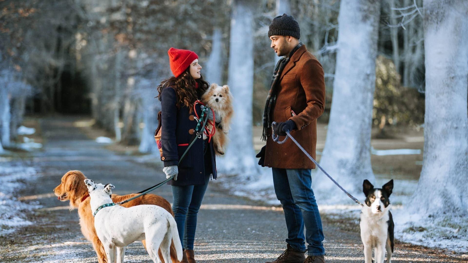 The Dog Days of Christmas 2021 movie scene
