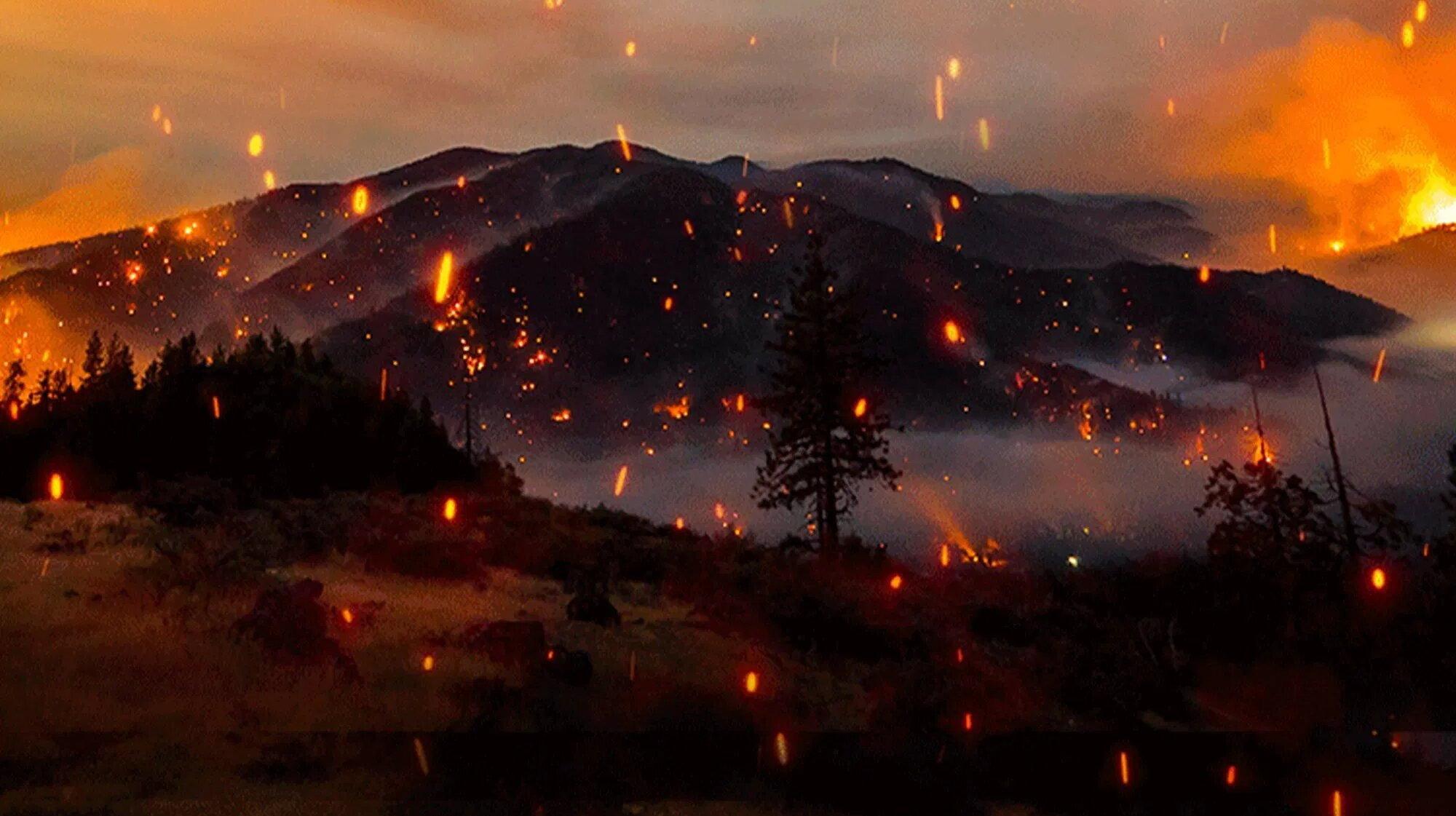Elemental: Reimagine Wildfire 2022 movie scene