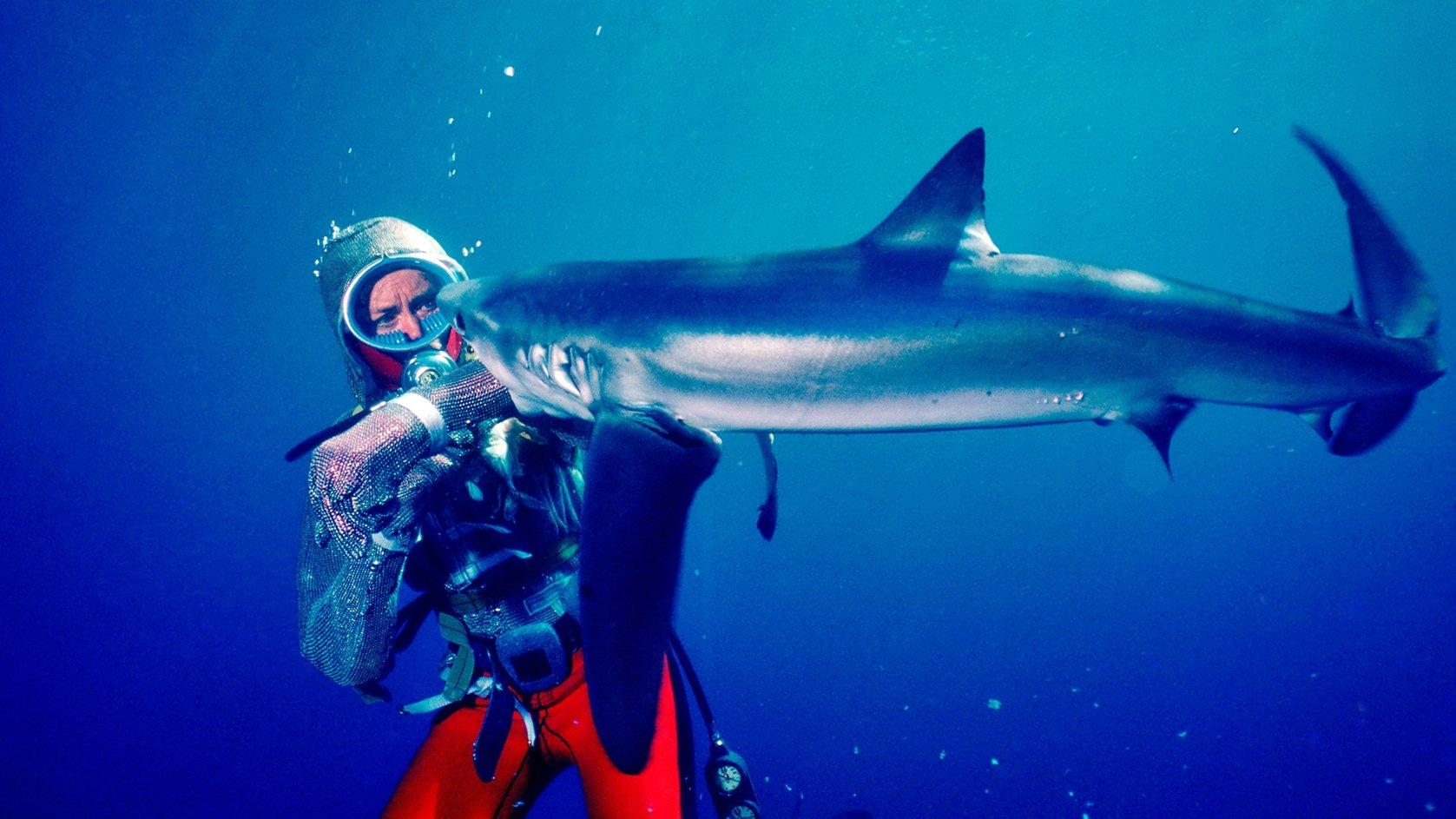Playing With Sharks: The Valerie Taylor Story 2021 movie scene