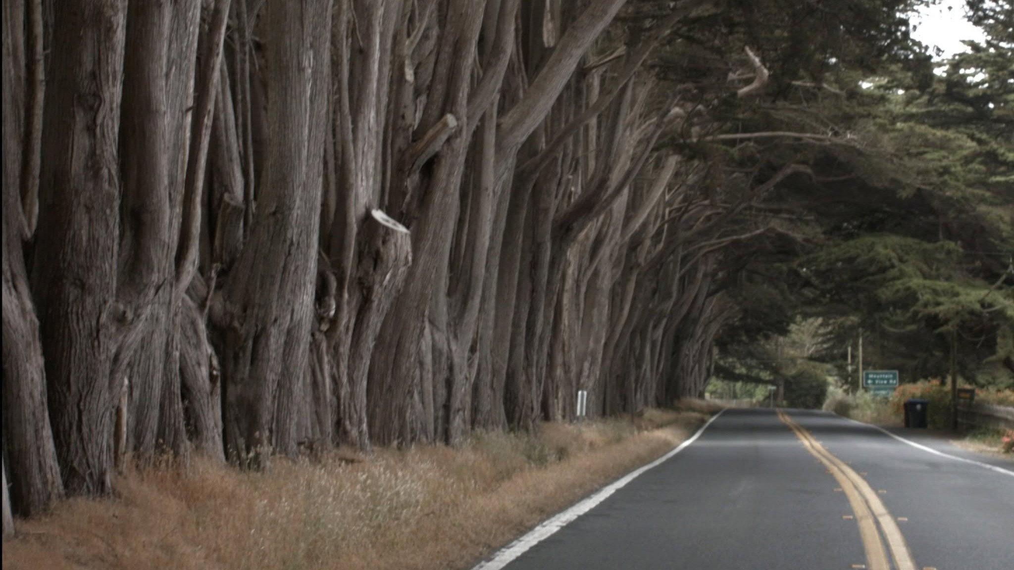 Hwy 1  movie scene