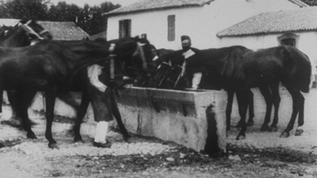 Abreuvoir 1896 movie scene