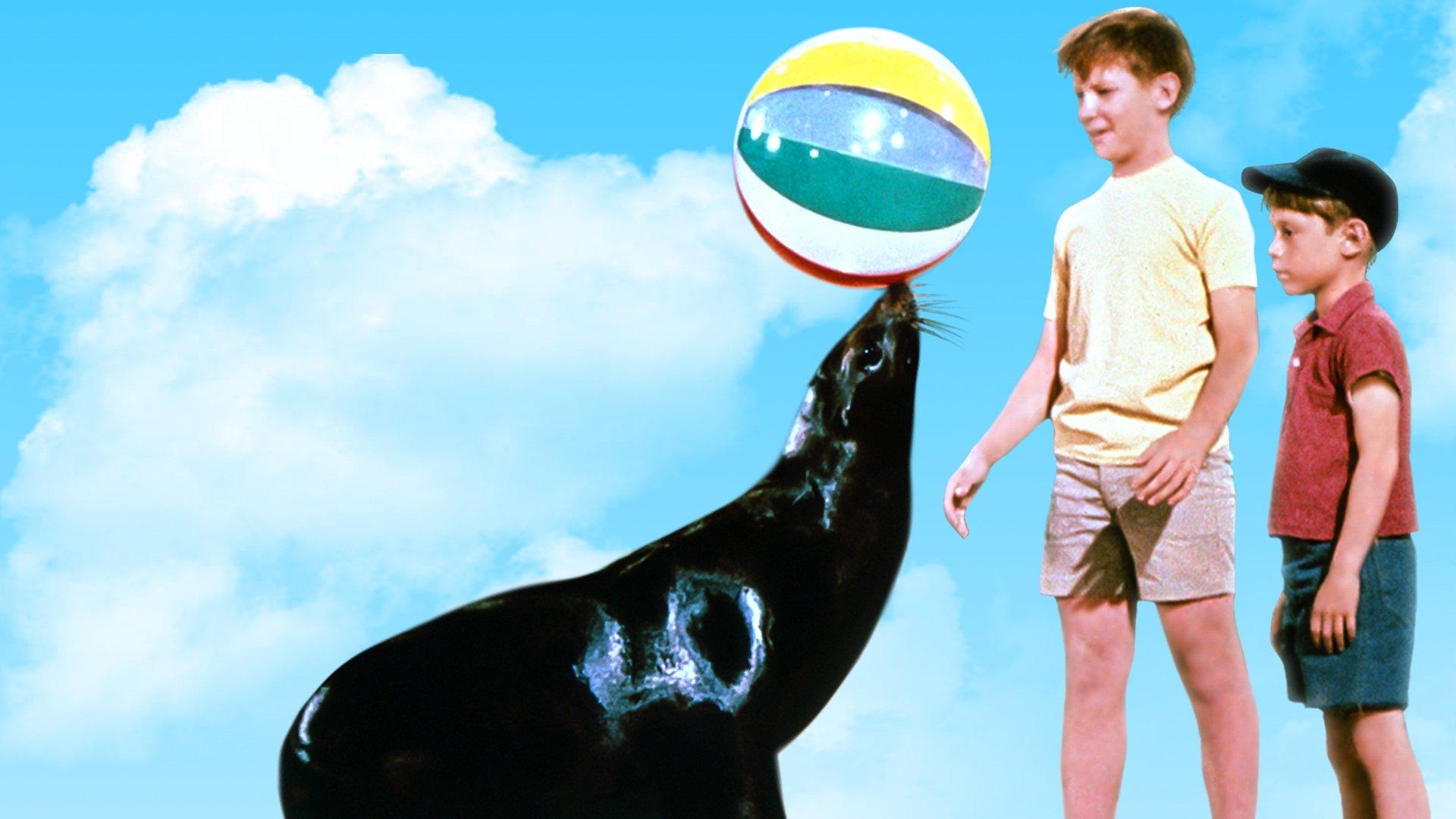 Sammy, the Way-Out Seal 1962 movie scene
