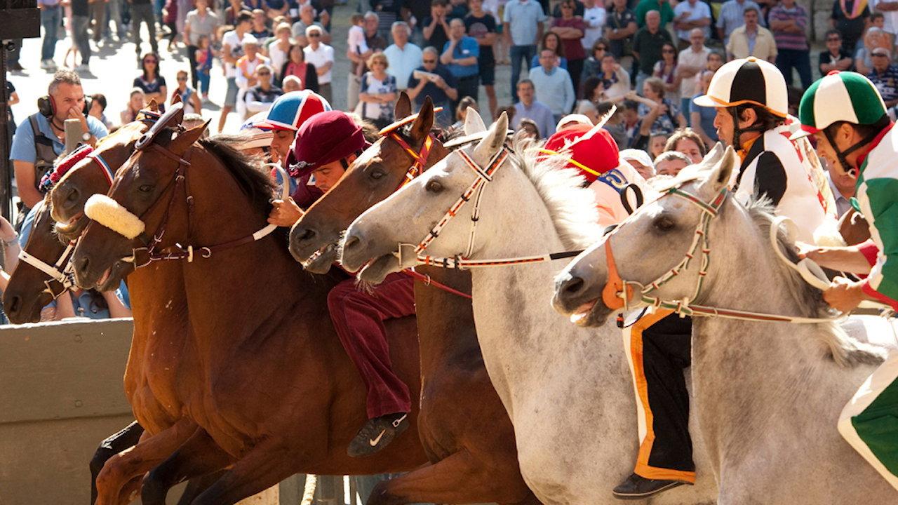 Palio 2015 movie scene