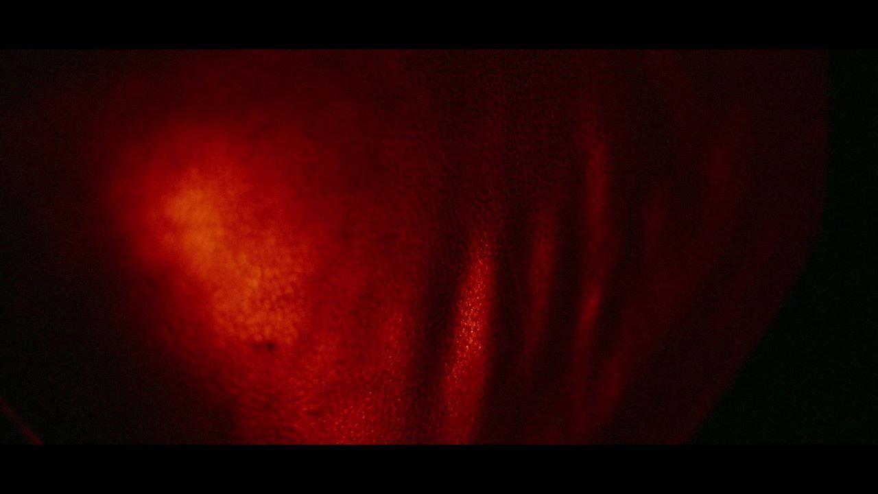 Flesh, Board, and Nails movie scene