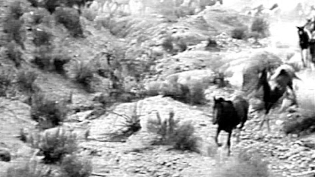 The Fighting Stallion 1926 movie scene