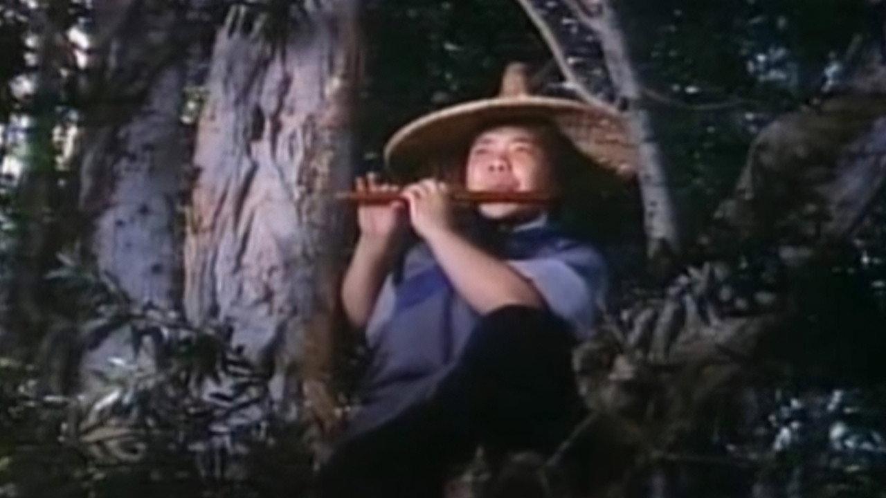 The Last Battle of Yang Chao 1976 movie scene