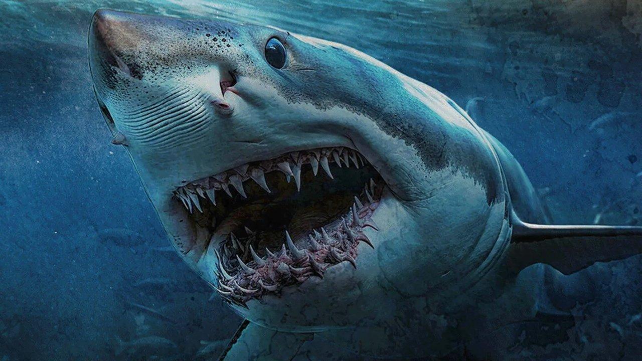 Shark Island 2024 movie scene