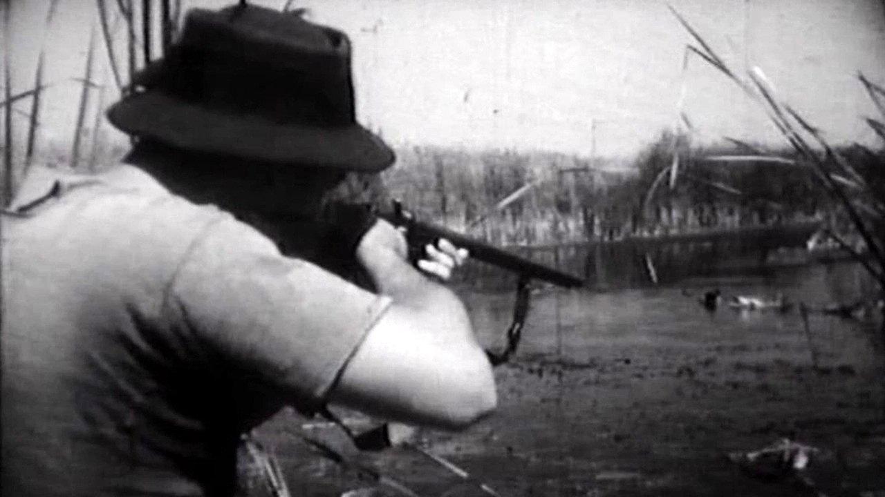 Flight Above the Marshes 1956 movie scene