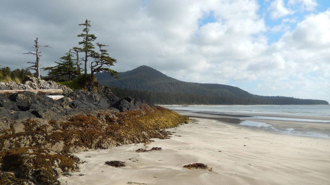 Haida Gwaii: On the Edge of the World 2015 movie scene