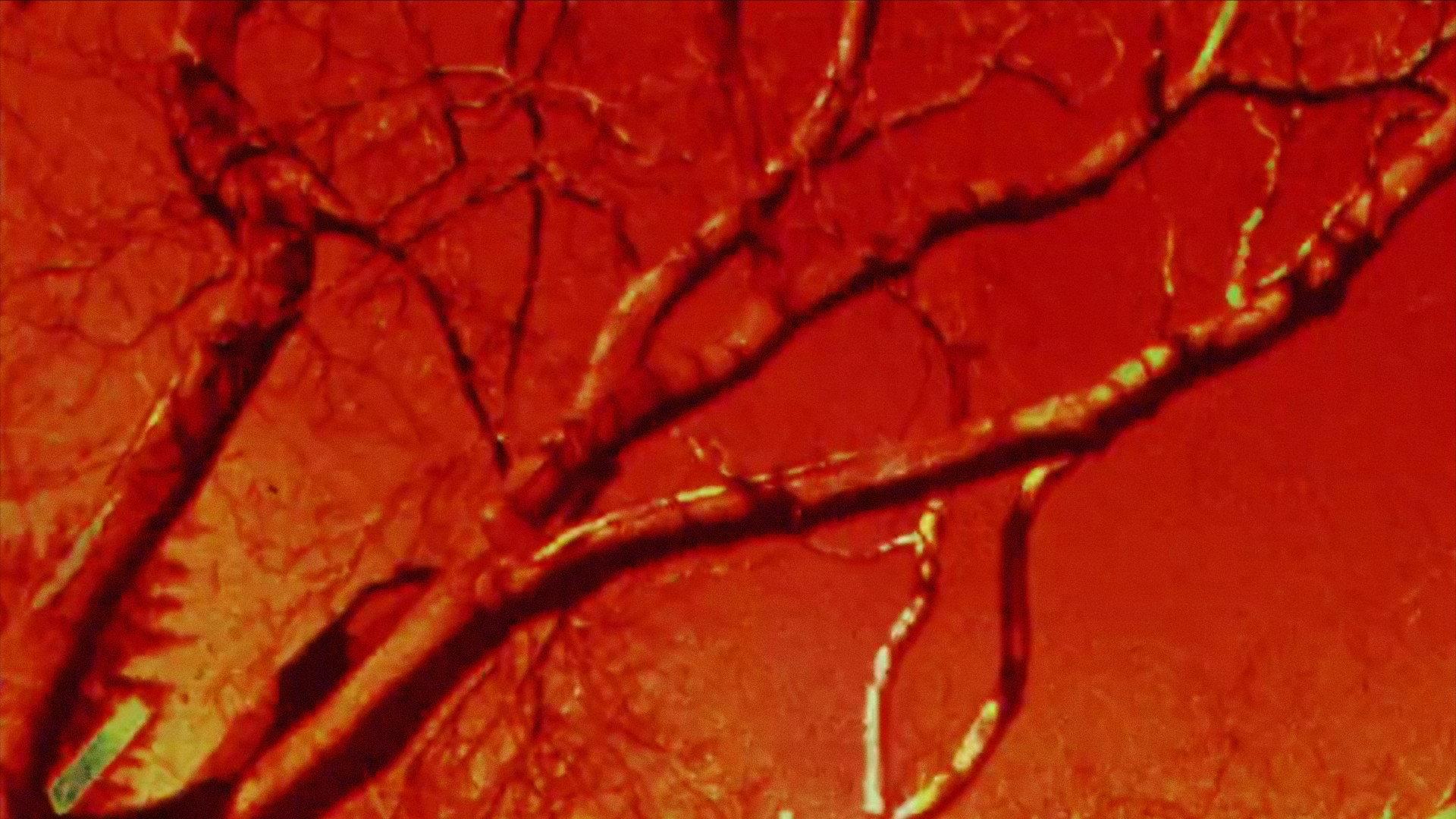 Seven Minutes in May 1995 movie scene