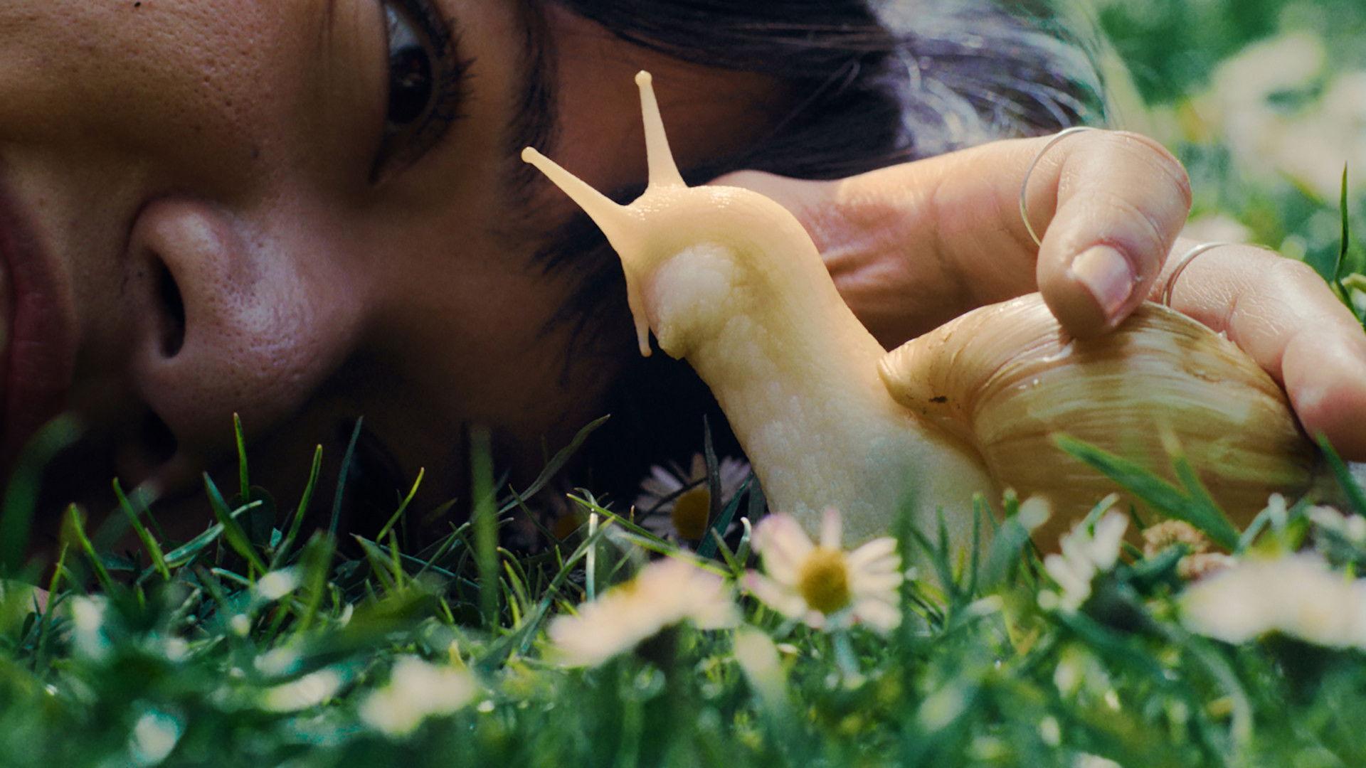 My Pet and Me 2022 movie scene