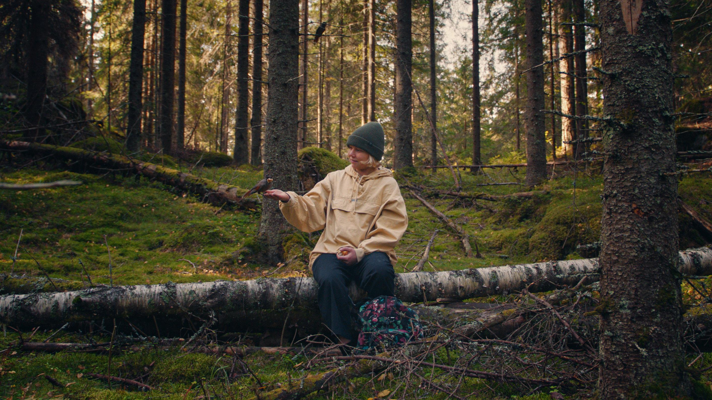 Once Upon a Time in a Forest 2024 movie scene