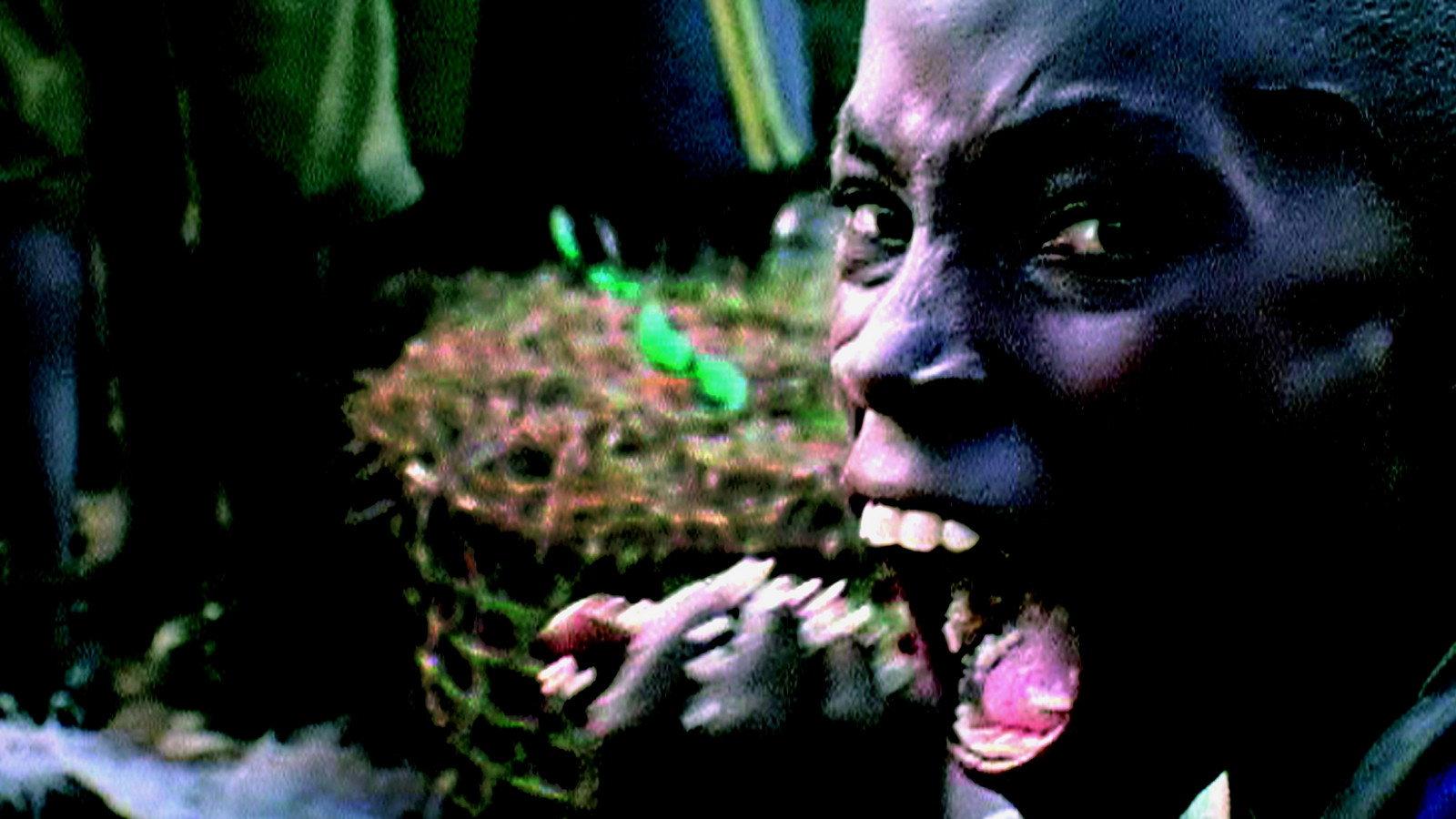 Darwin's Nightmare 2005 movie scene