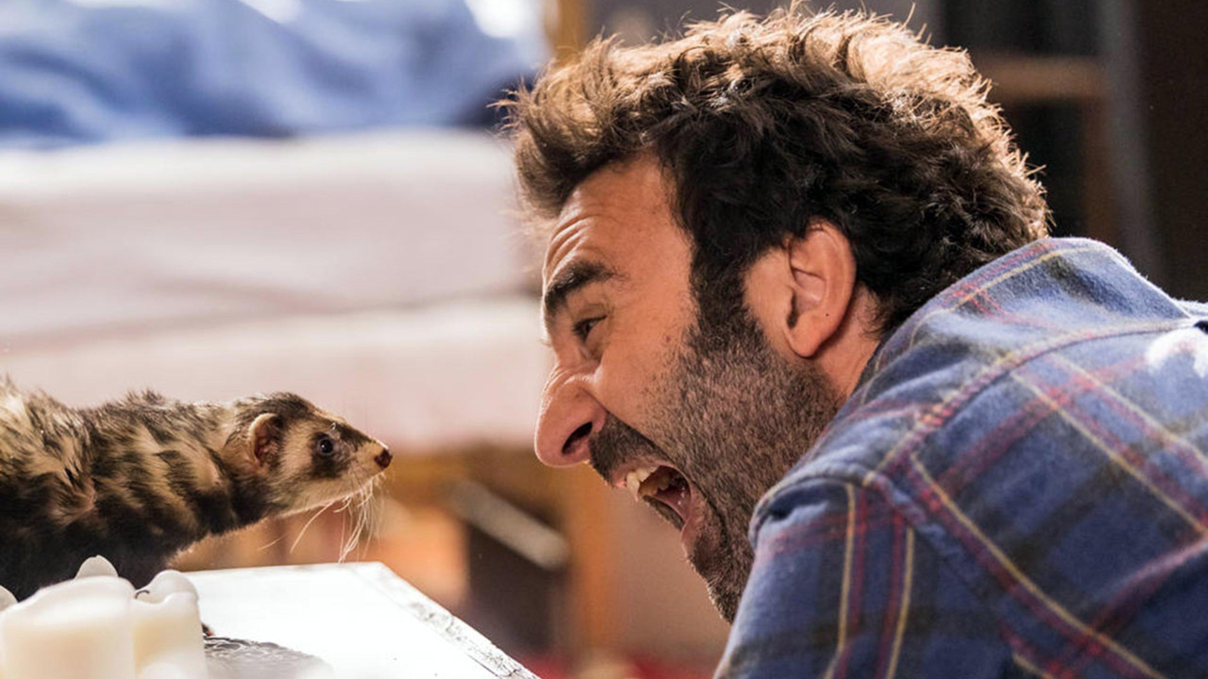 Le furet 2021 movie scene