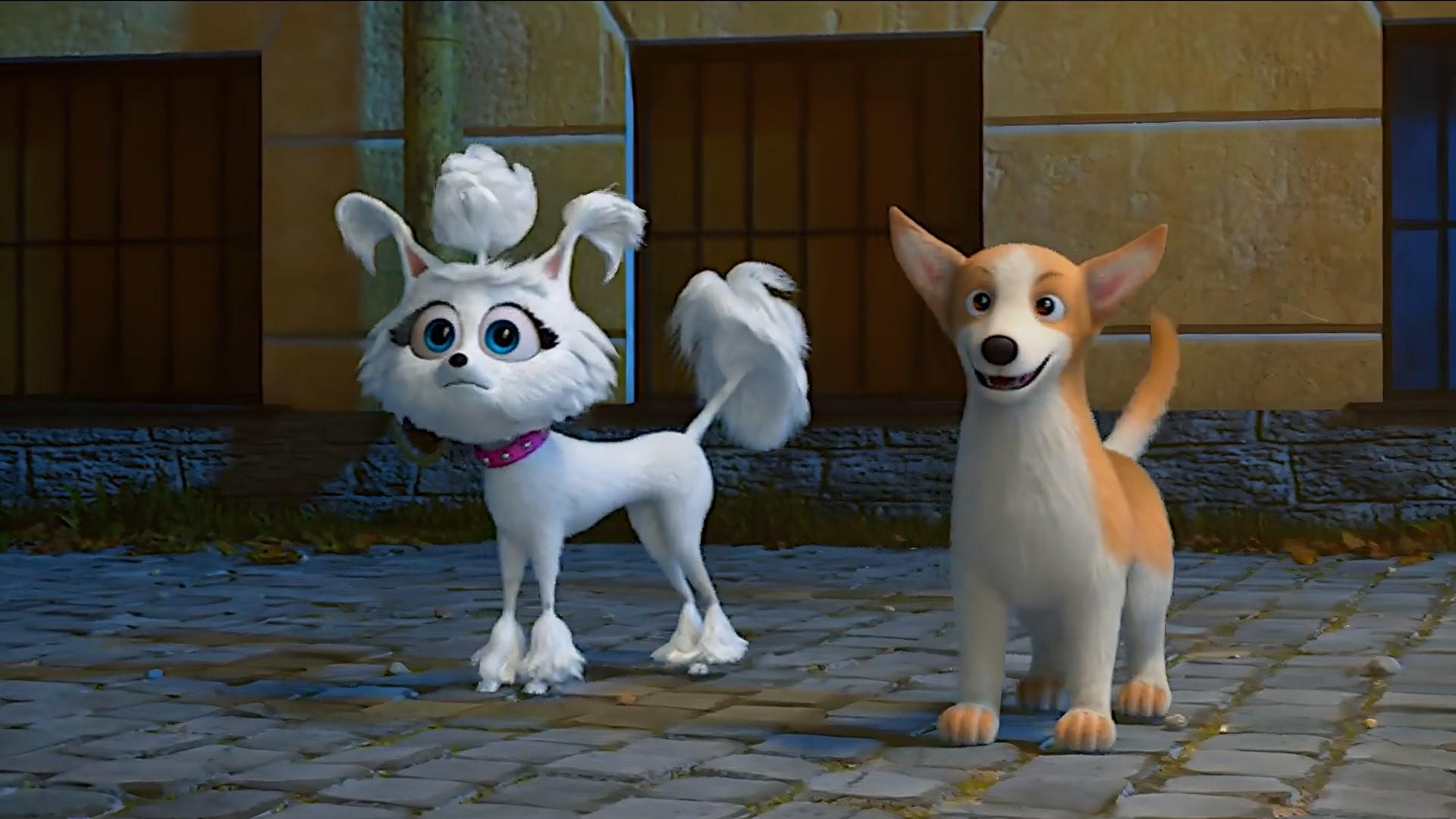 Dogs at the Opera 2023 movie scene