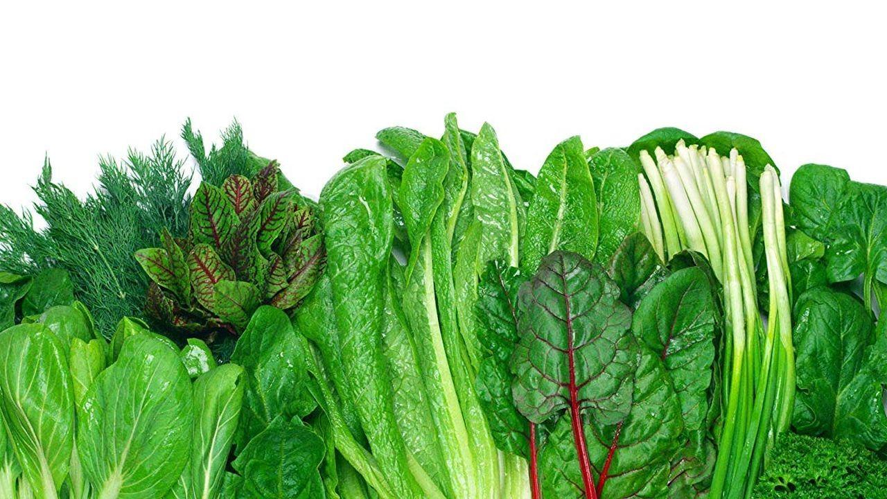 Foods That Cure Disease 2018 movie scene