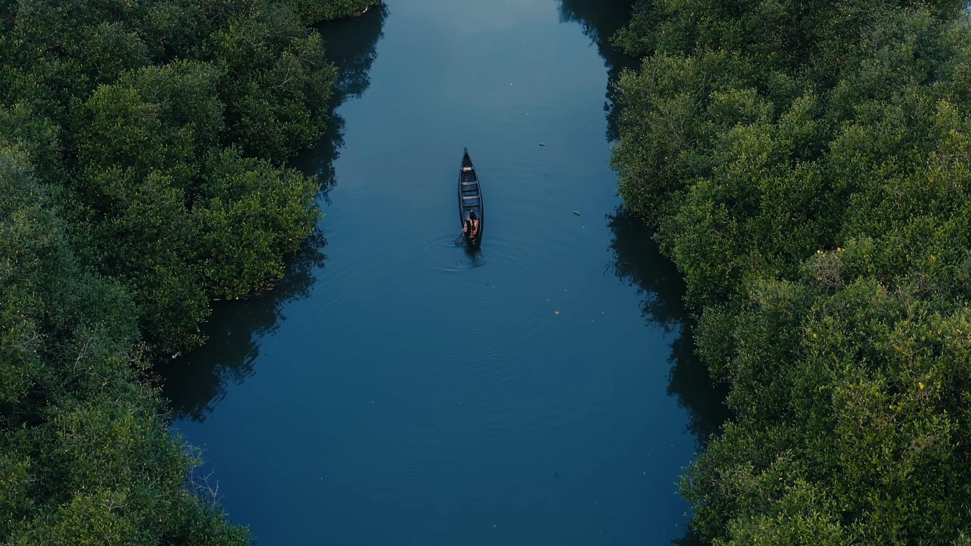 Aavasavyuham: The Arbit Documentation of an Amphibian Hunt 2022 movie scene
