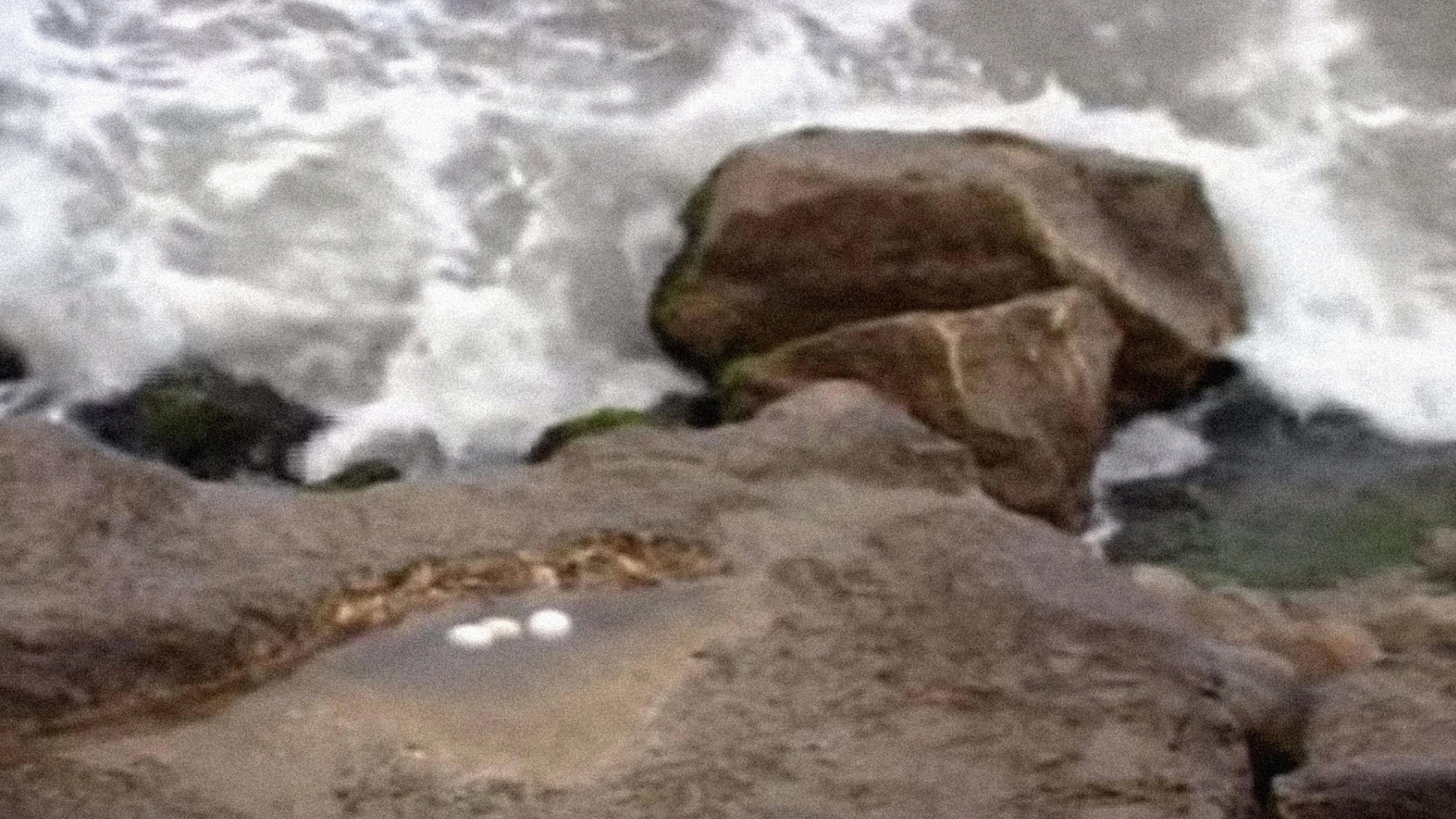 Seagull Eggs 2008 movie scene