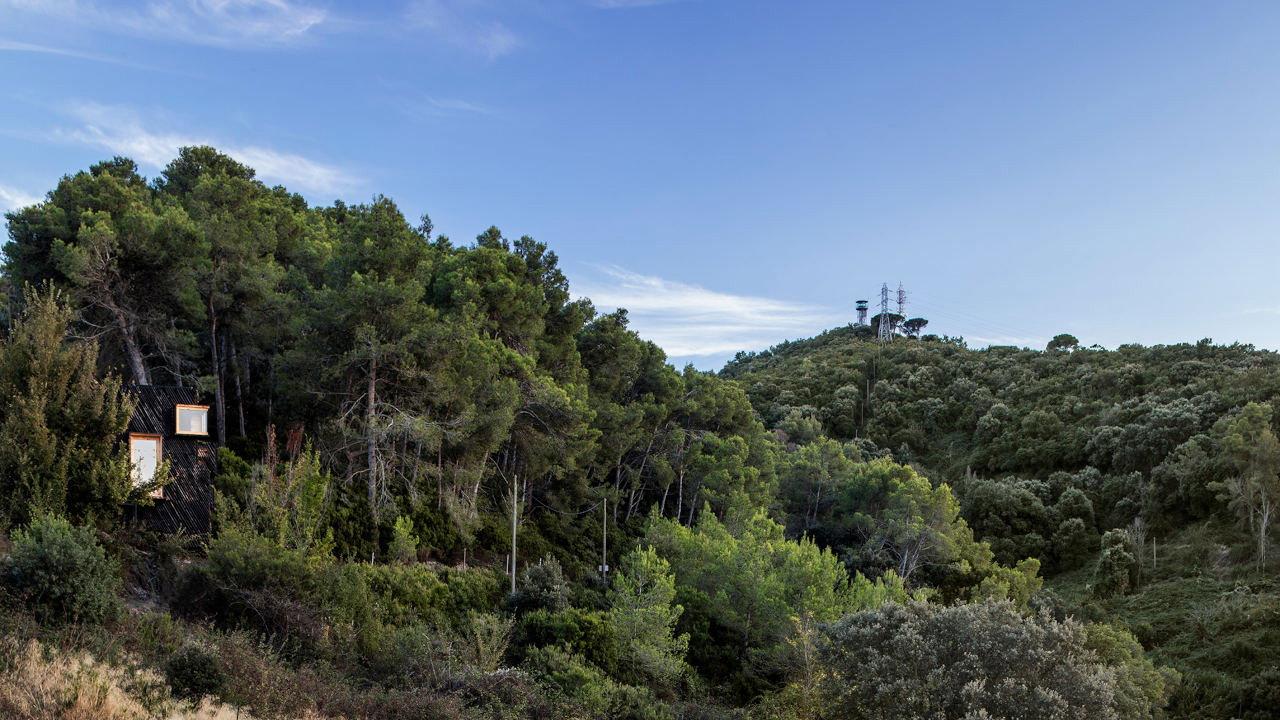Valldaura: A Quarantine Cabin 2022 movie scene