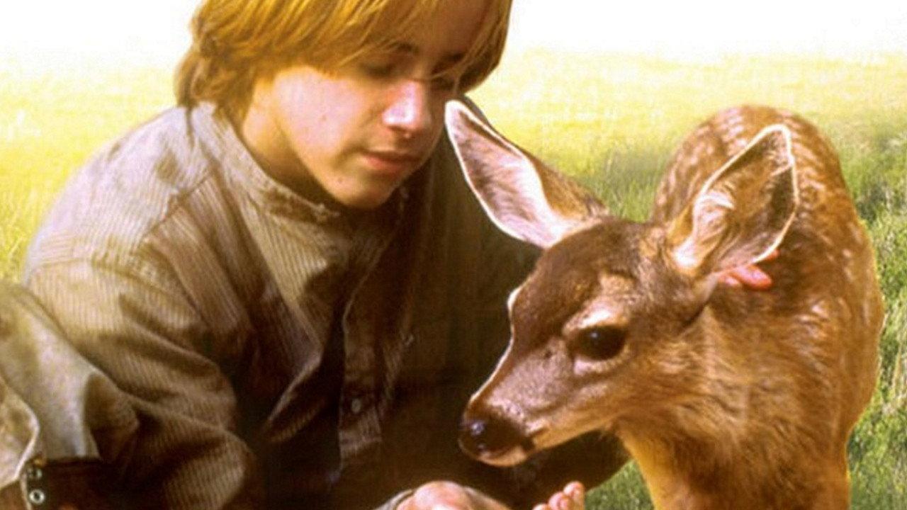 The Yearling 1994 movie scene