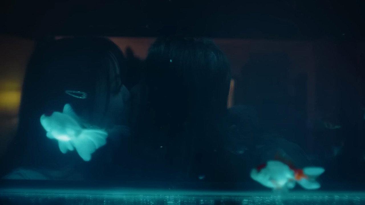 Lucky Fish 2022 movie scene