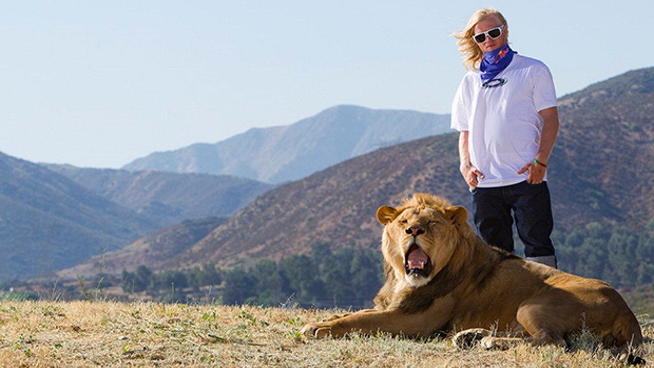 Like A Lion 2010 movie scene