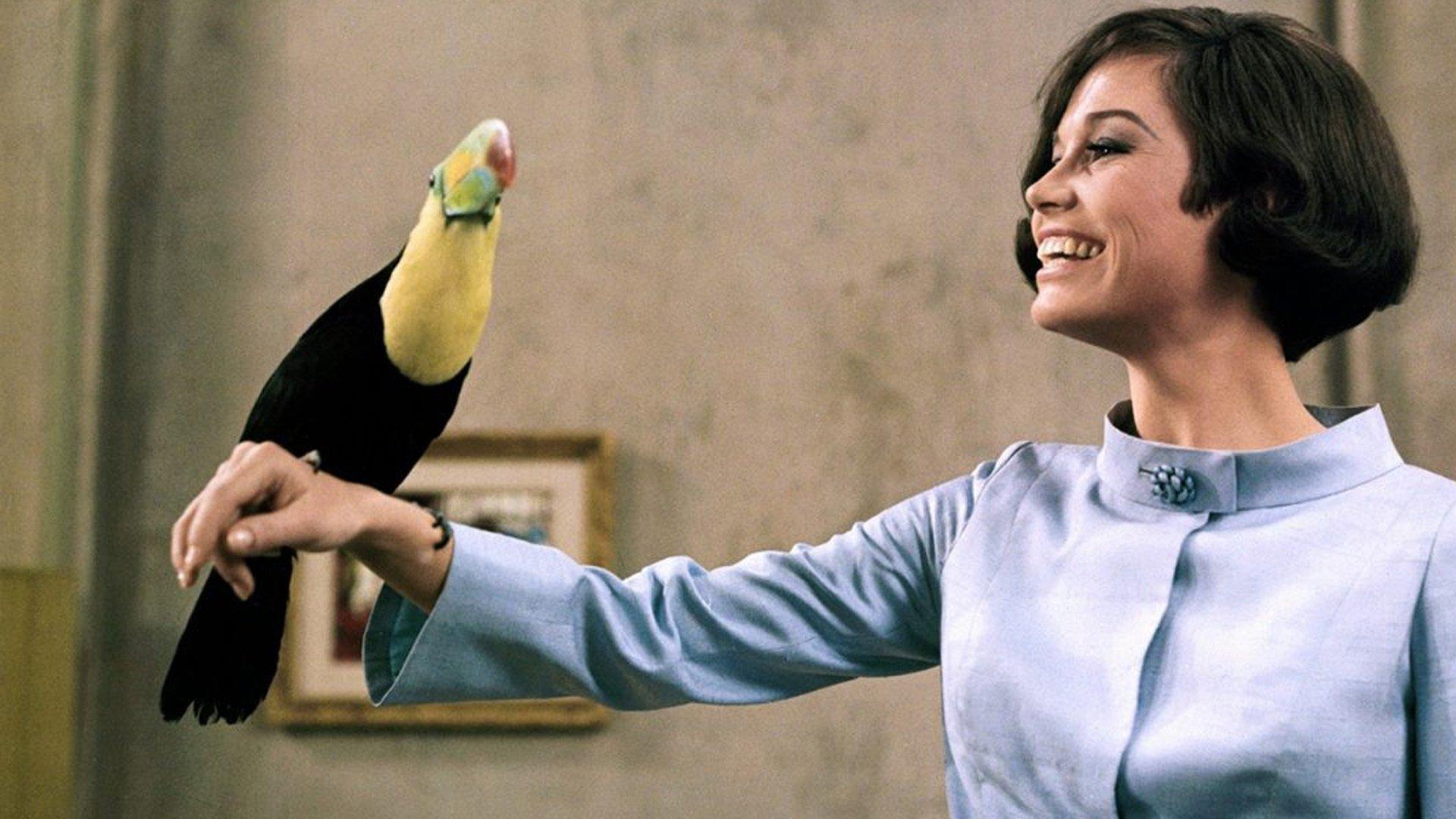 What's So Bad About Feeling Good? 1968 movie scene