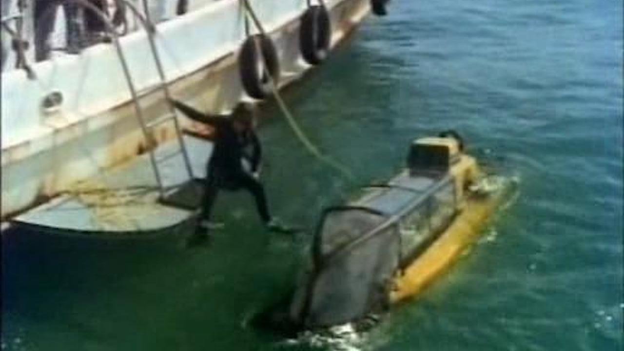 Hunters of the Reef 1978 movie scene