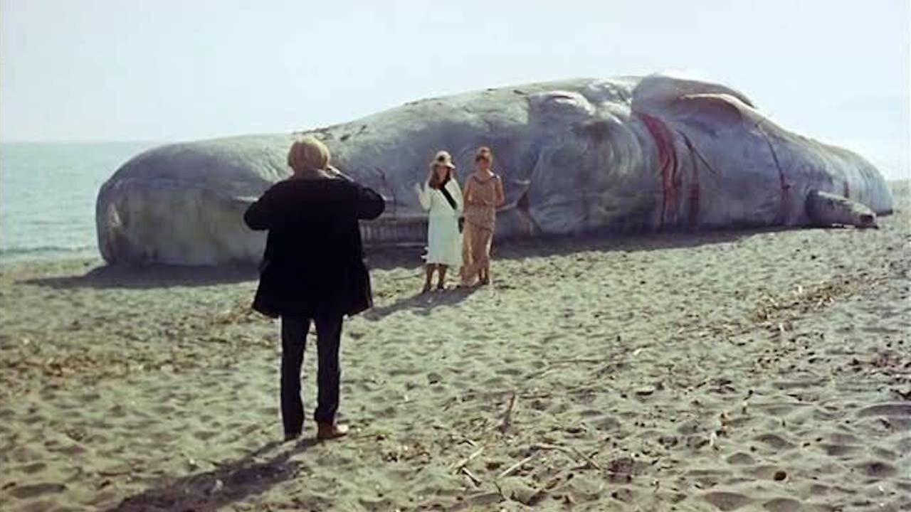 The Seed of Man 1969 movie scene