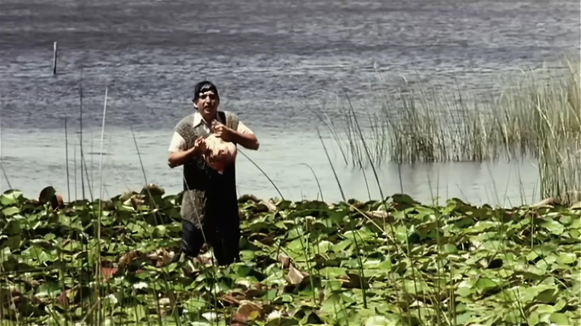 The Treasure of the Snails 2004 movie scene