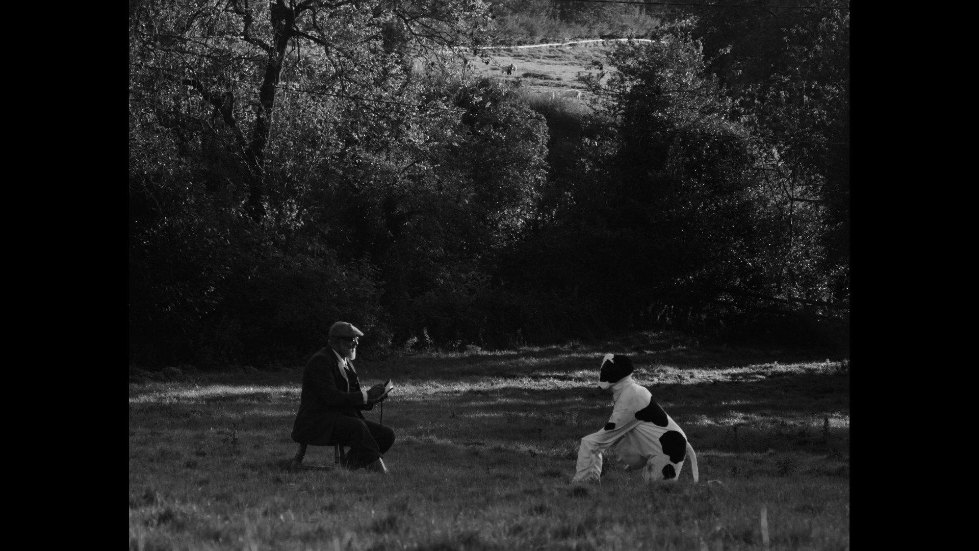 Bovine Comedy 2024 movie scene
