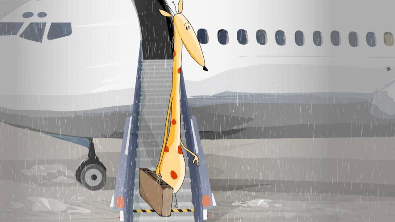 Une girafe sous la pluie 2007 movie scene