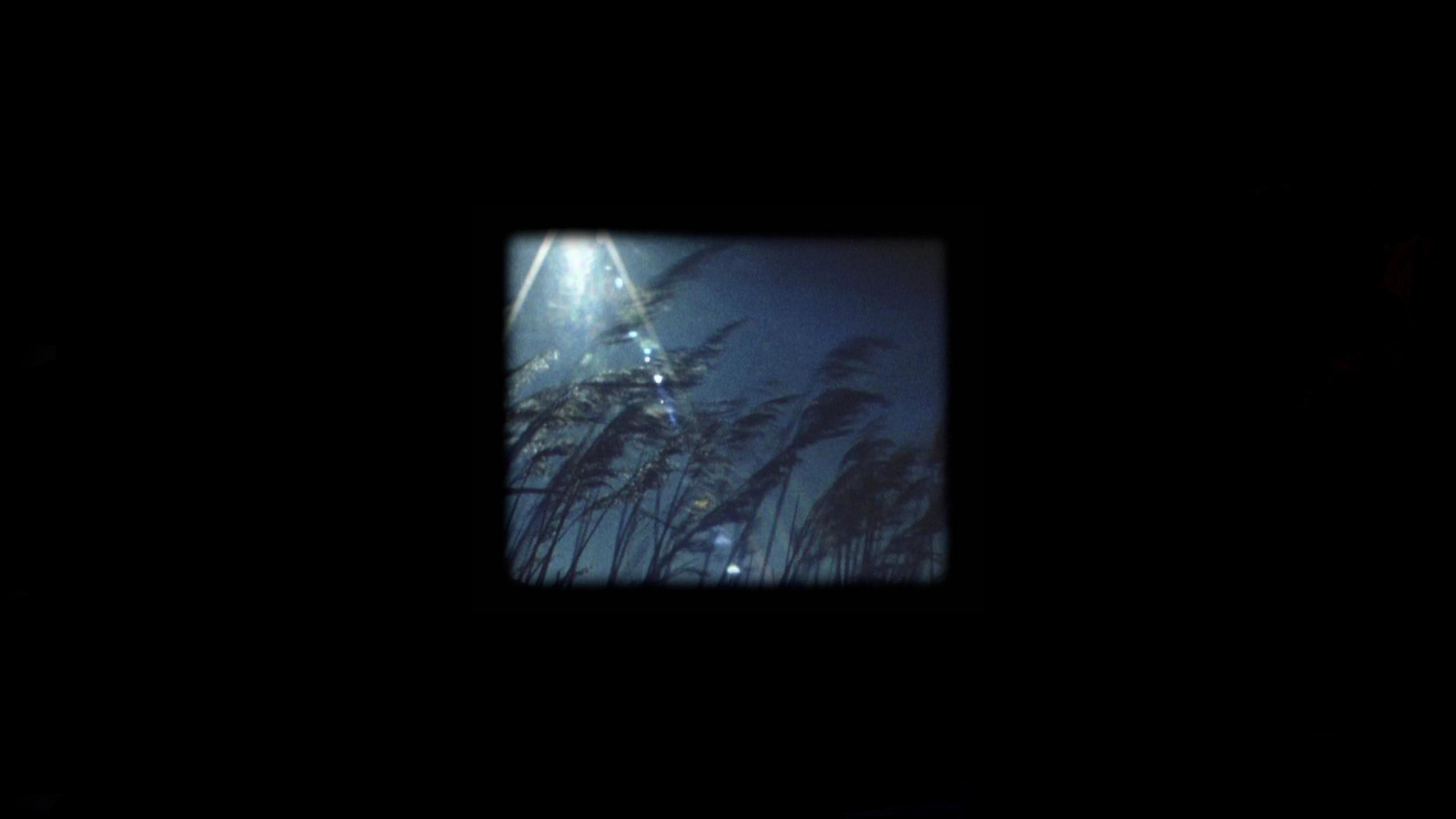 The Dreamed Films 2010 movie scene