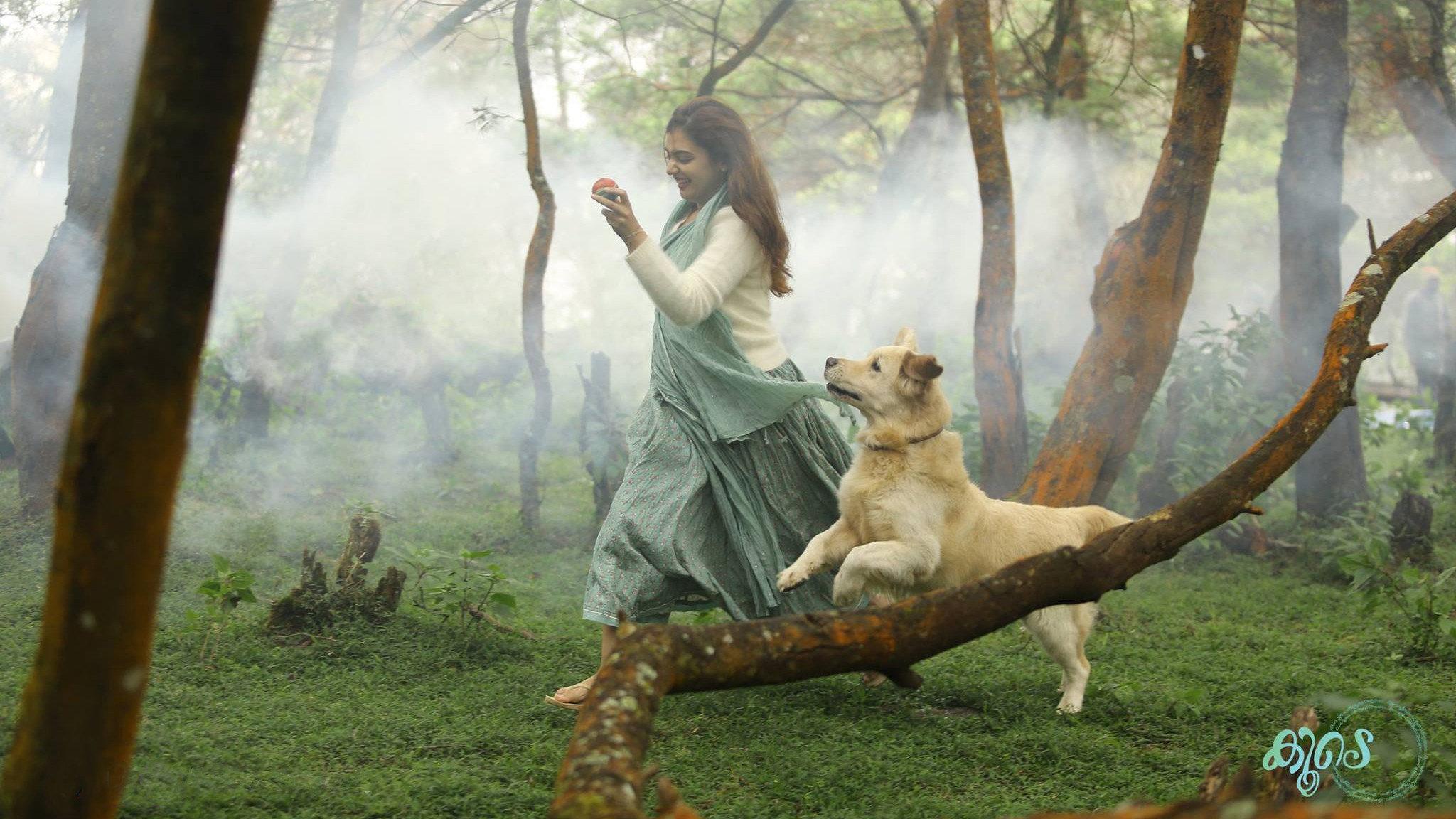 Koode 2018 movie scene