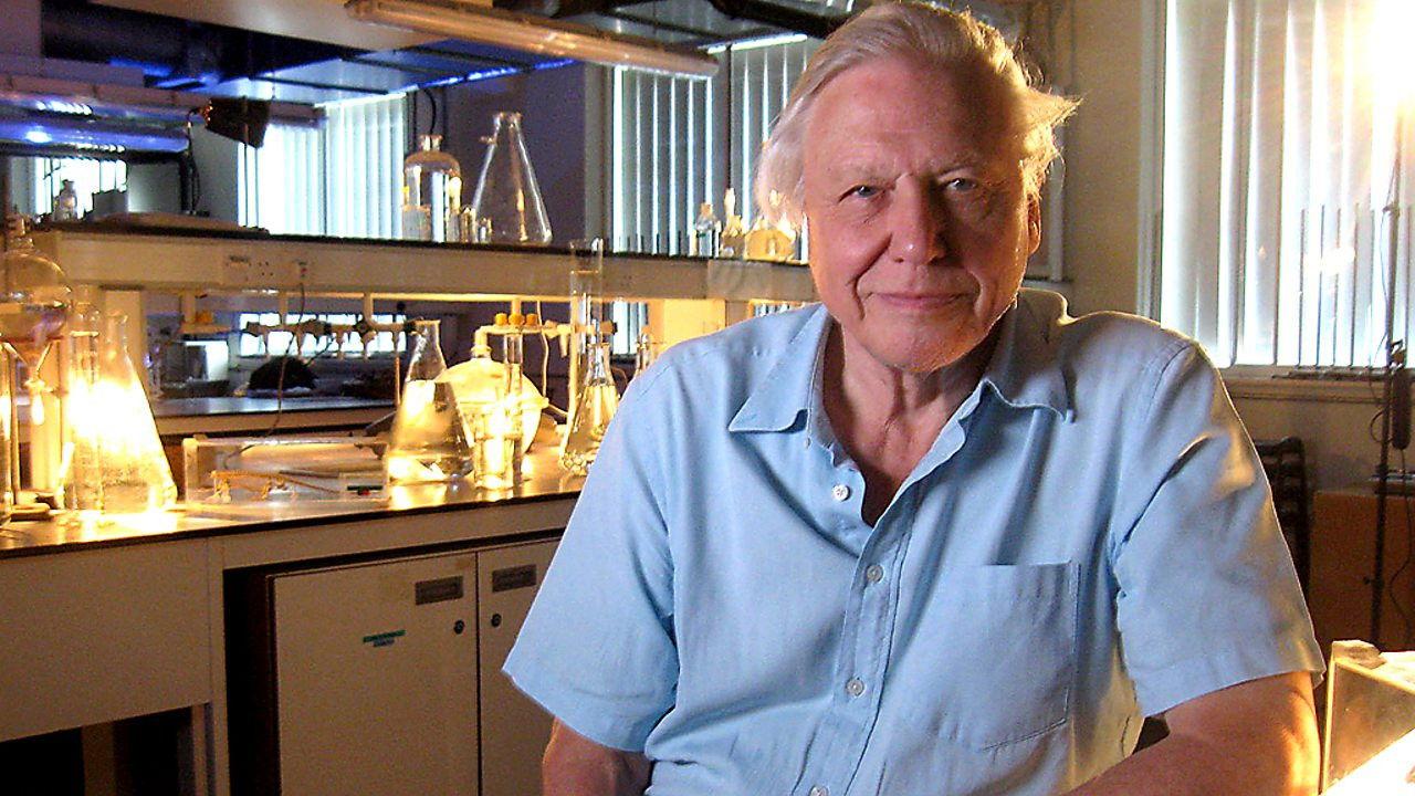 Mad and Bad: 60 Years of Science on TV 2010 movie scene