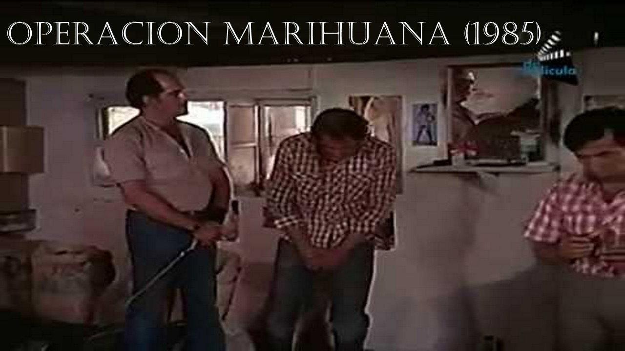 Operation Marihuana 1985 movie scene