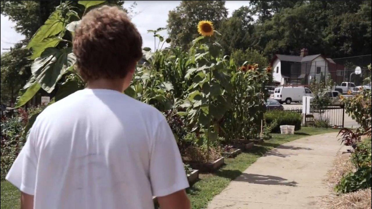 Indulge 2017 movie scene
