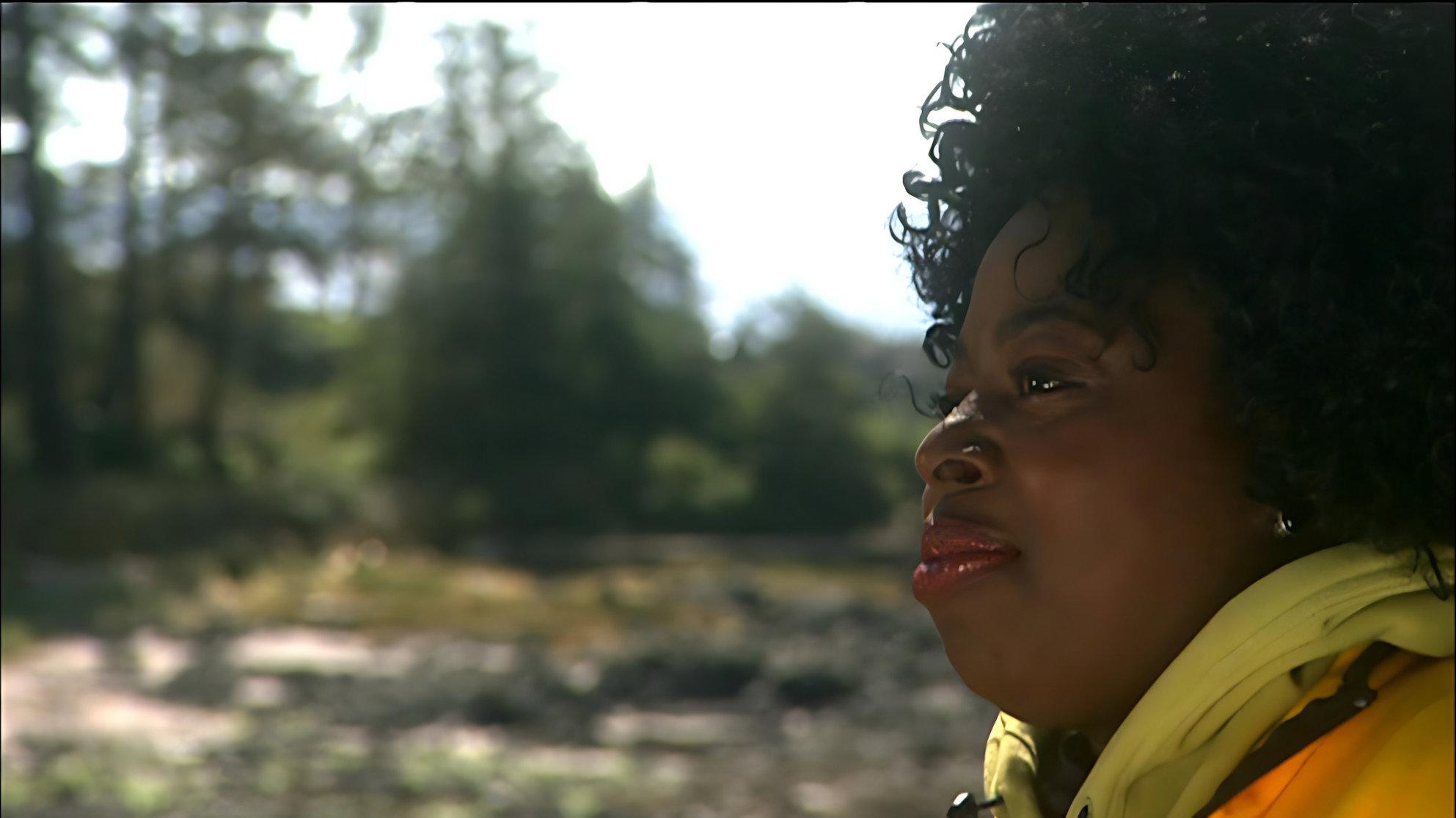 Angie Stone - Live In Vancouver Island 2002 movie scene