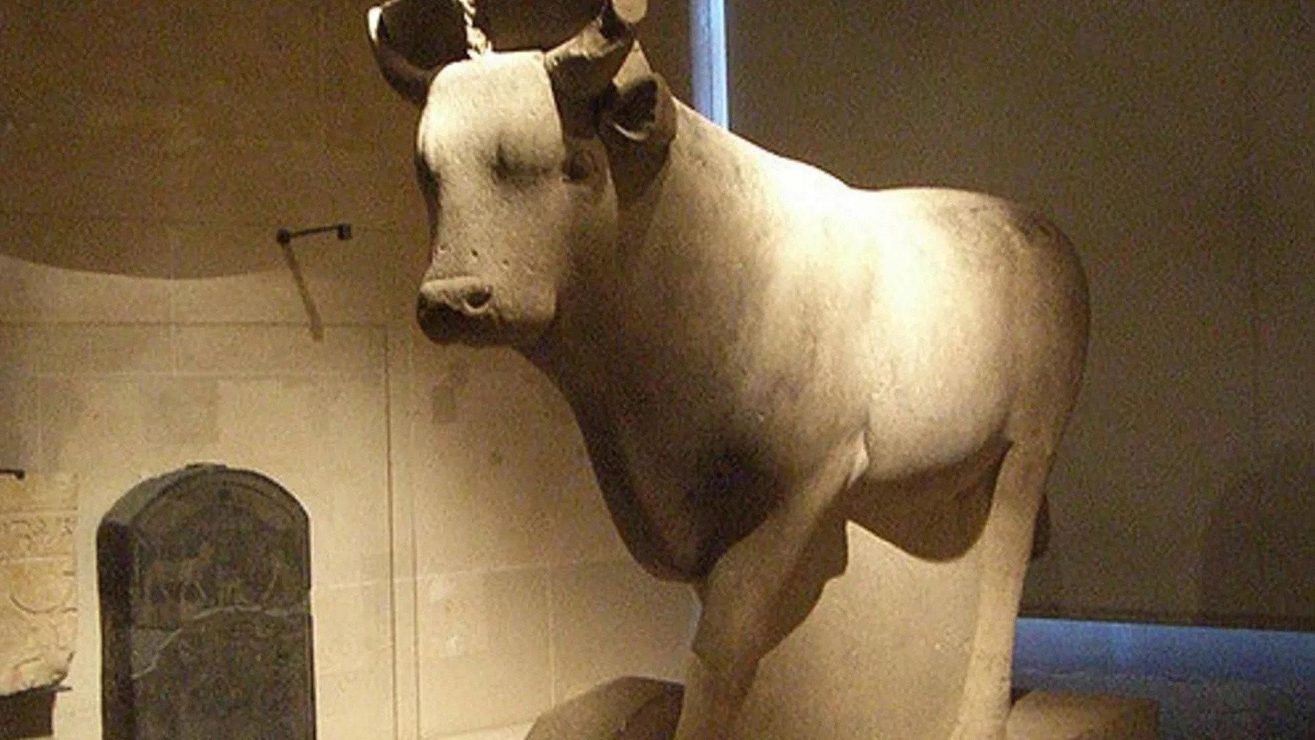 Egypt: The Treasure Of The Sacred Bulls 2022 movie scene