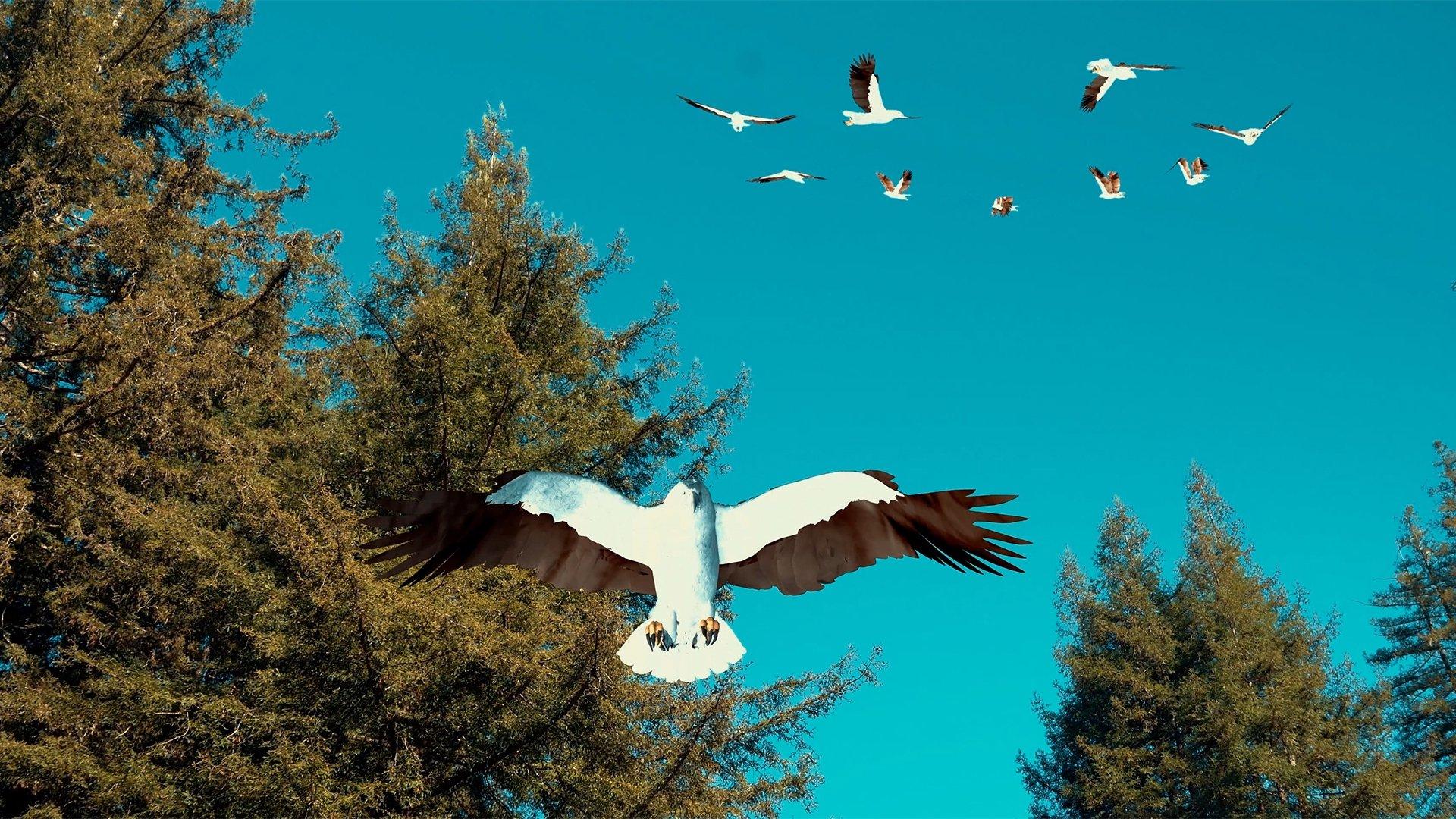 Birdemic 3: Sea Eagle 2022 movie scene