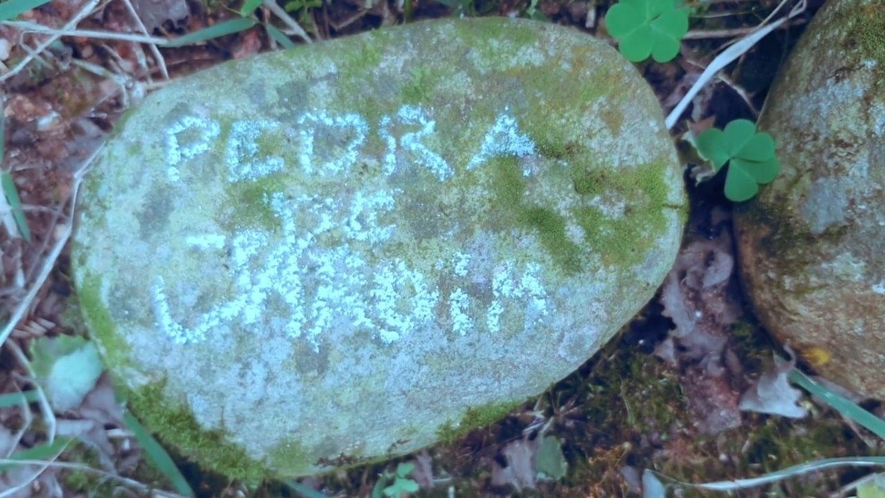 pedra de jardim 2025 movie scene