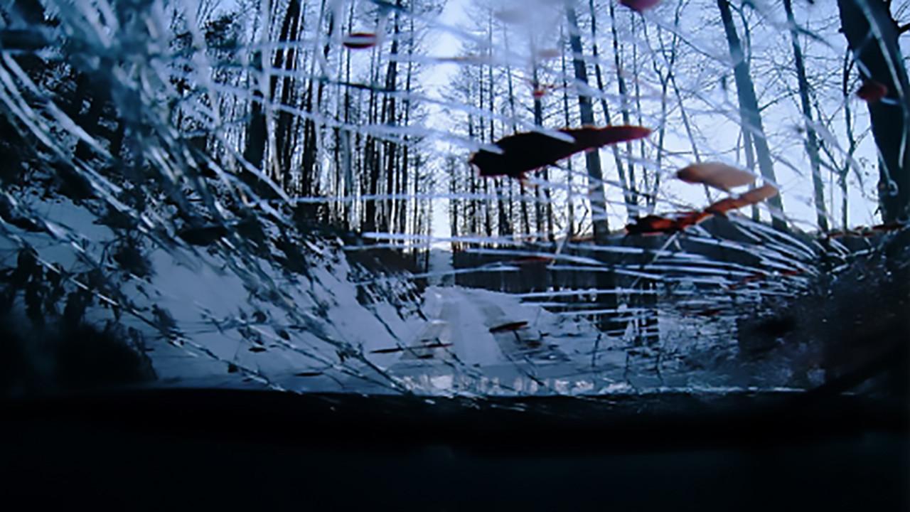 Janus 2014 movie scene