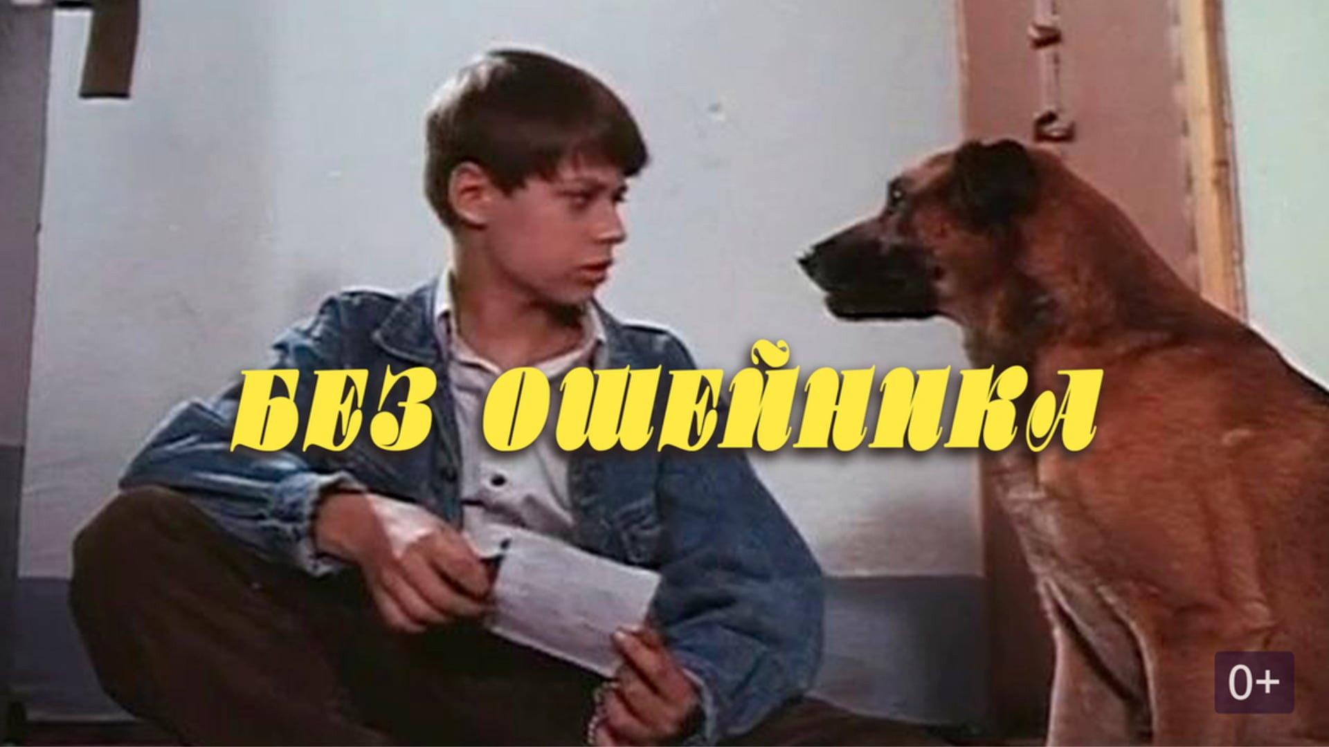 Without a Collar 1995 movie scene